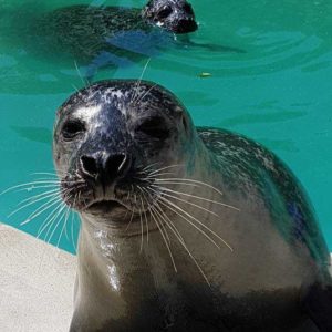 w1200_h664_x830_y1331_20180504_121357-4e4b7830199a8b71