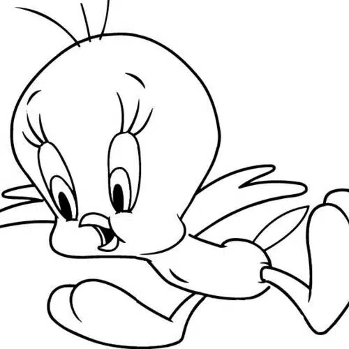 Avatar von LittleTweety