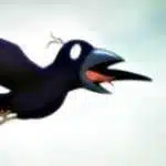 Avatar von Sven