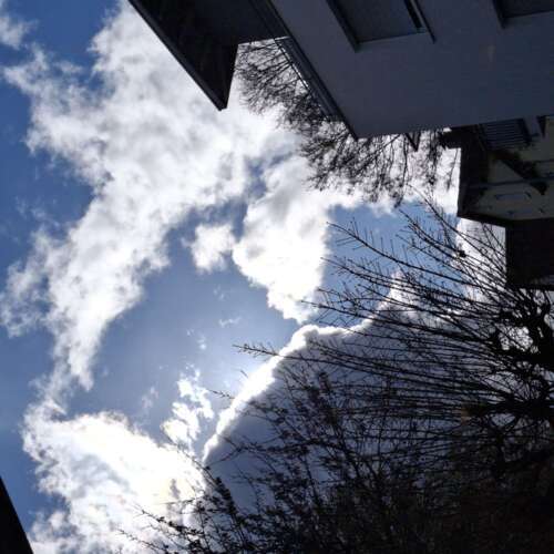 Avatar von Grugahalle