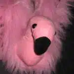 Avatar von mschle