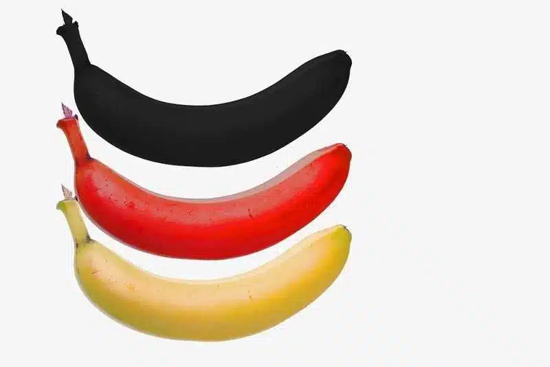 Avatar von Nesselschmidt