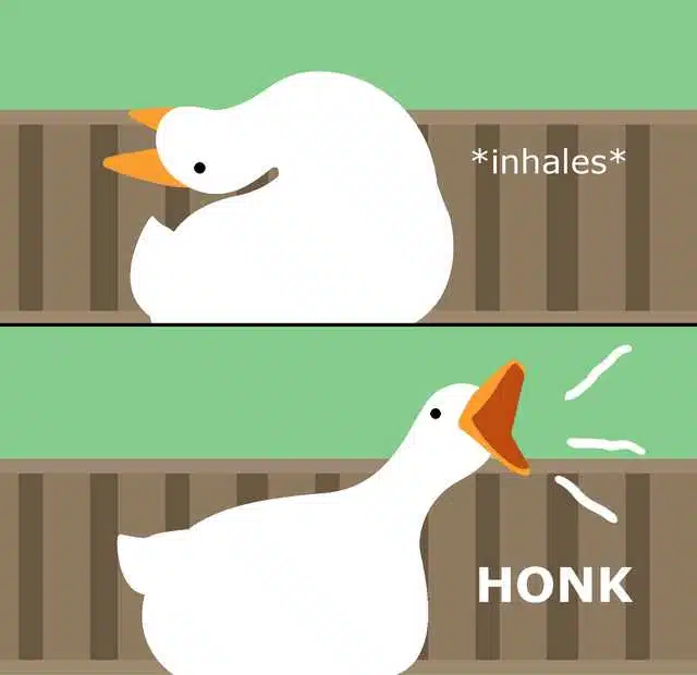 Avatar von Inuliki