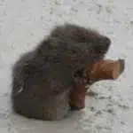 Avatar von emilyno7