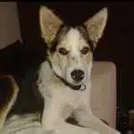 Avatar von Alu