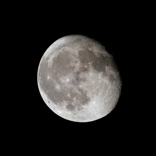 Avatar von Moonraker