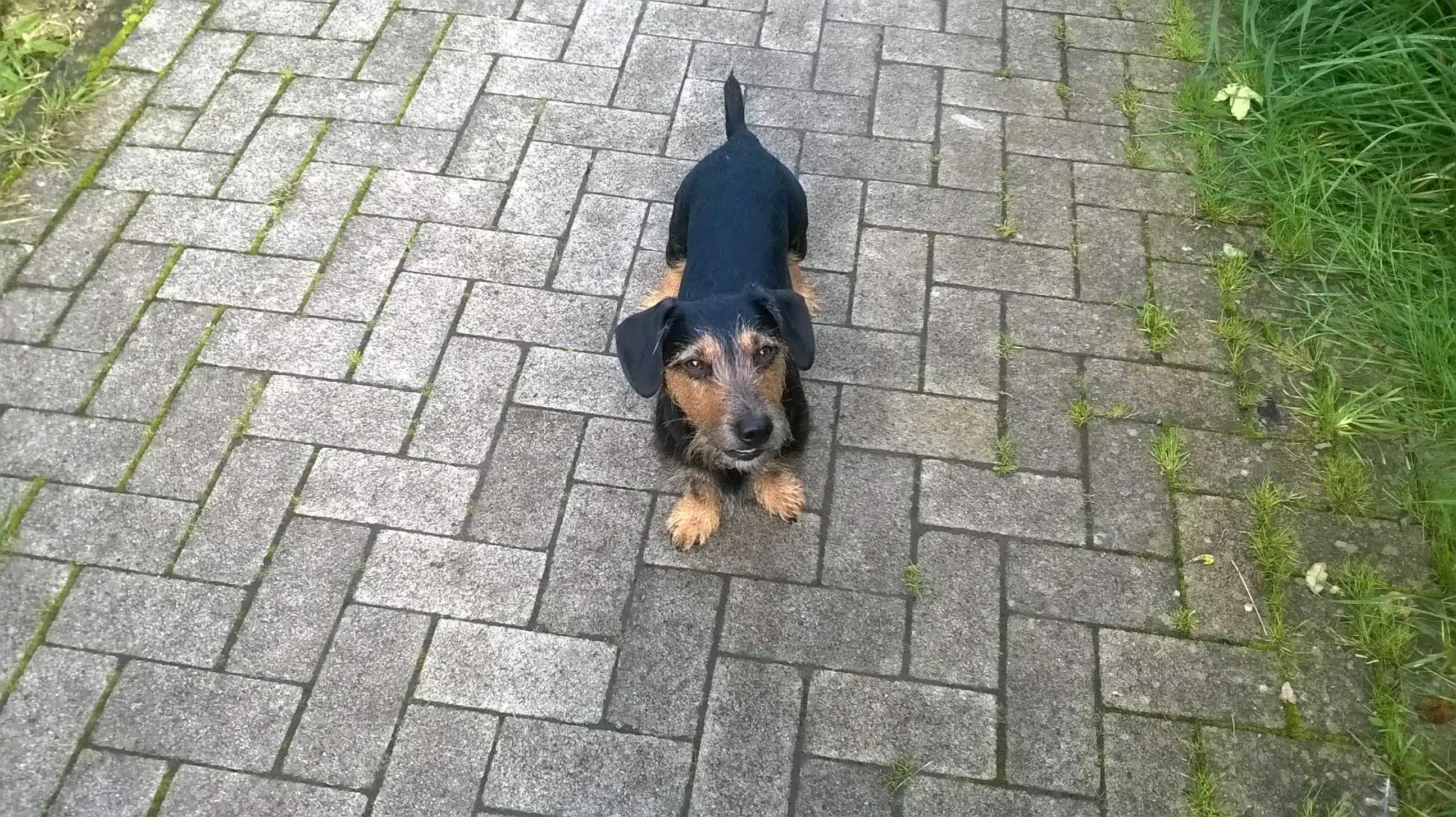 Avatar von Filou21812