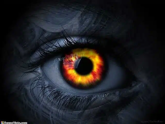 Avatar von Sebonner