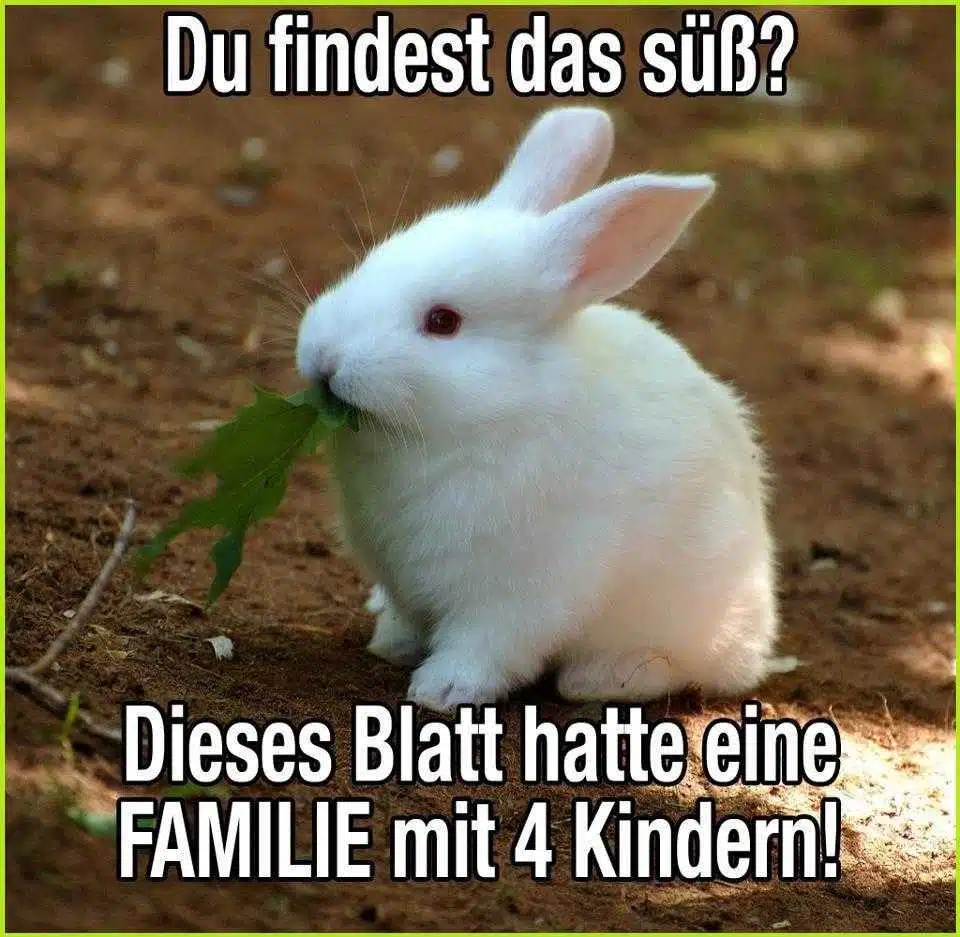 Avatar von desiree1985