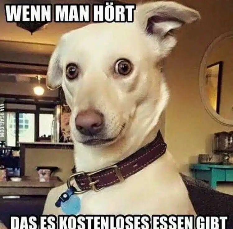Avatar von Hanszeroone