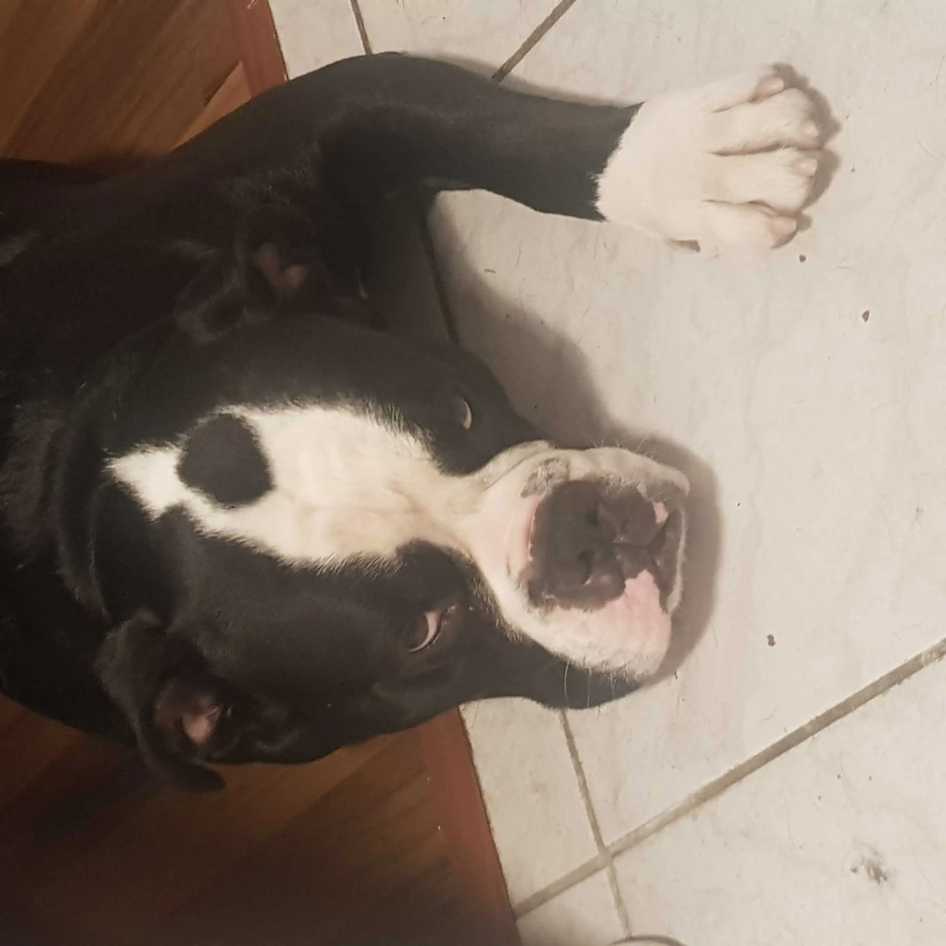 Avatar von jelo