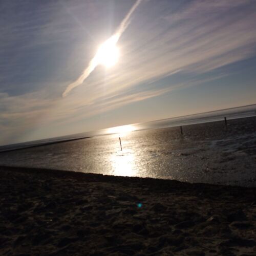 Avatar von Der Buntspecht