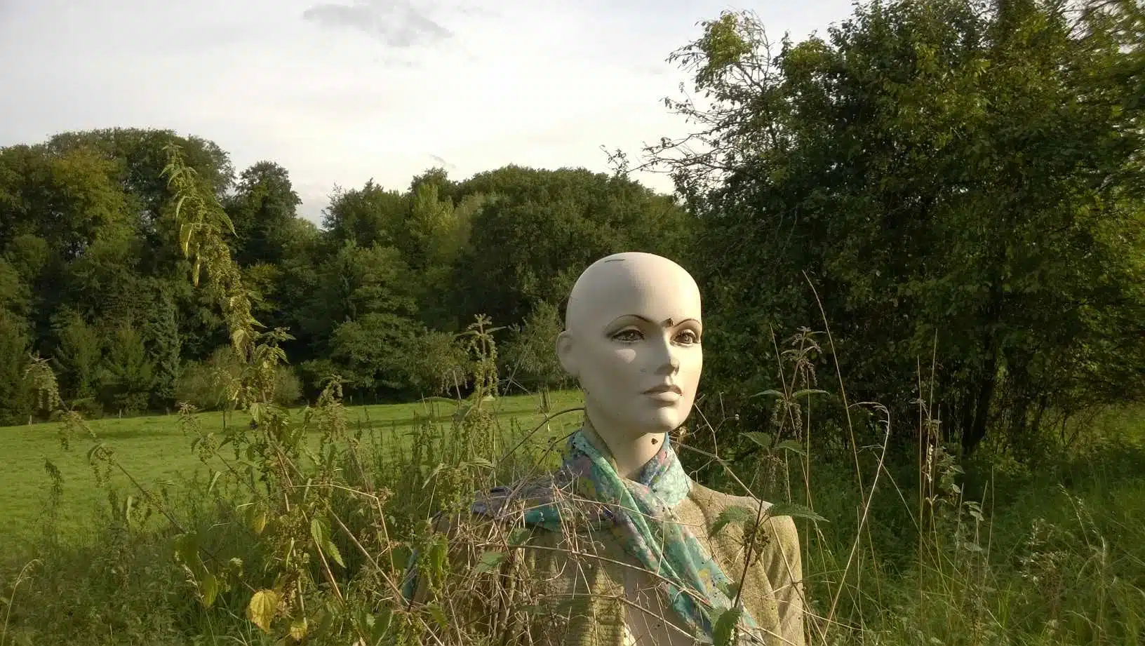 Avatar von Toni Erdunger