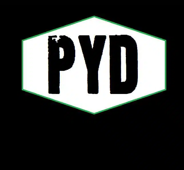 Avatar von PYD