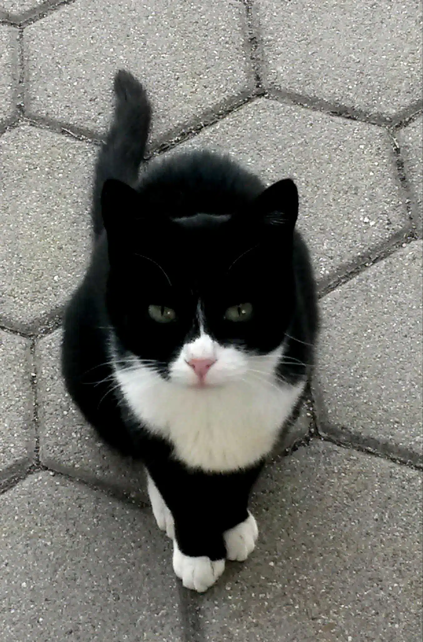 Avatar von lexmarkz13