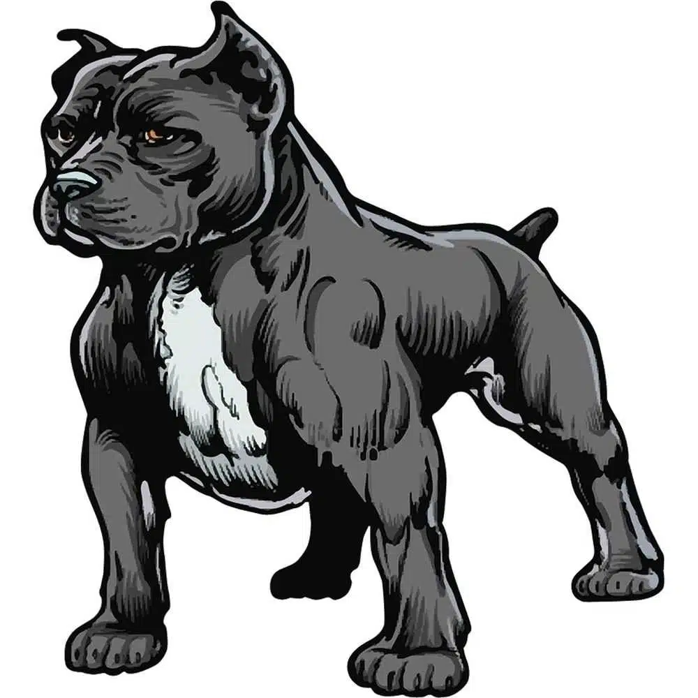 Avatar von maik116