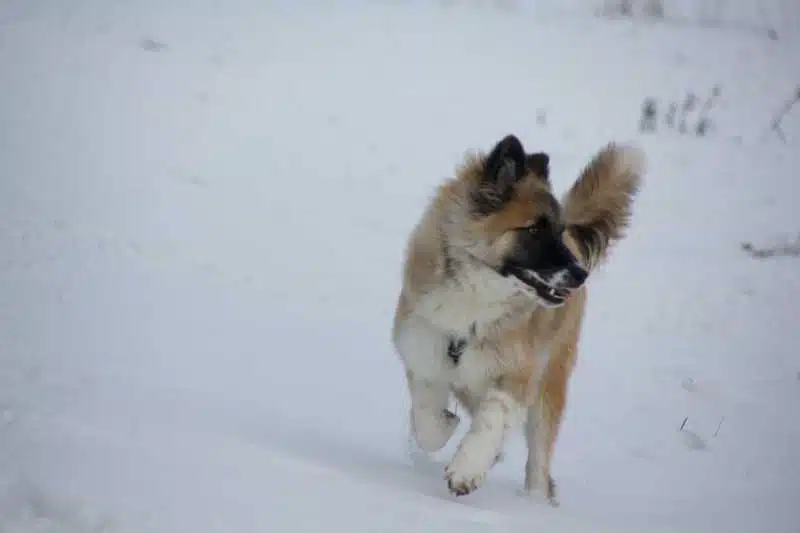 Avatar von Bailey16