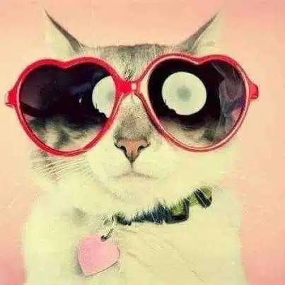 Avatar von shopuzzi