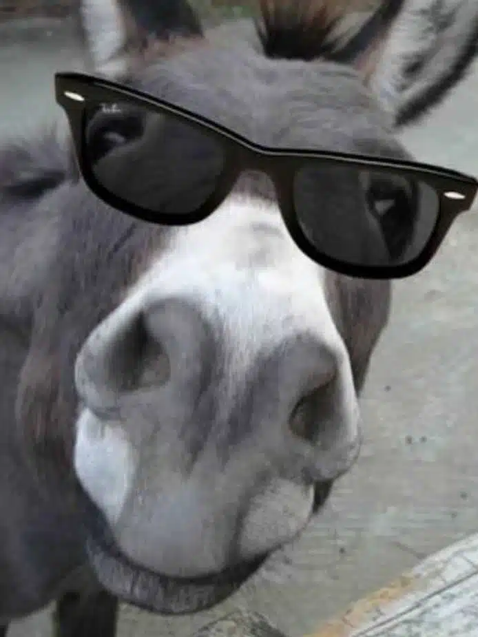 Avatar von macmilan