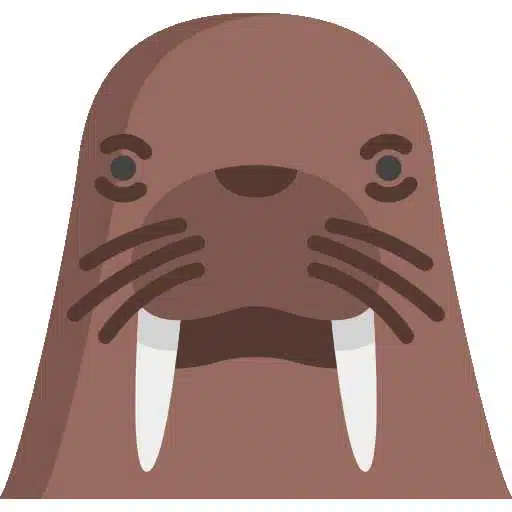 Avatar von meab