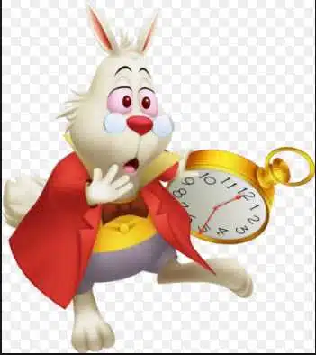 Avatar von hoppelhase1