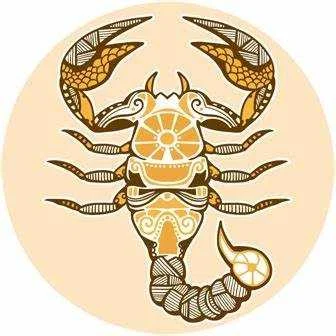 Avatar von blumenbeet.sellerie