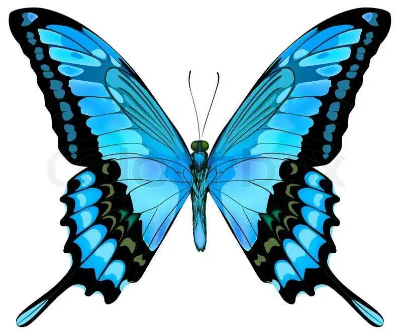 Avatar von Tea
