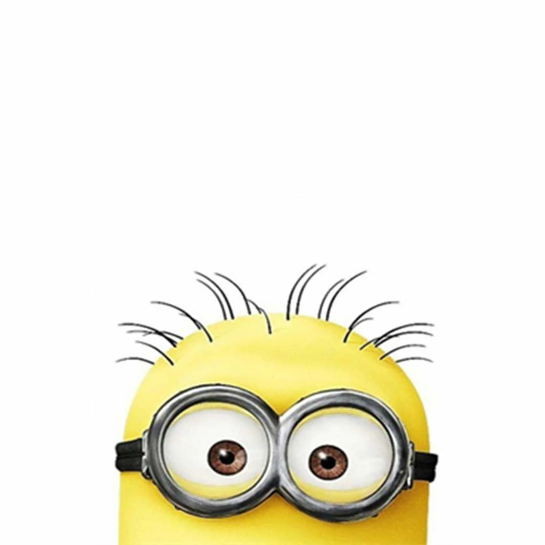 Avatar von 1vasko