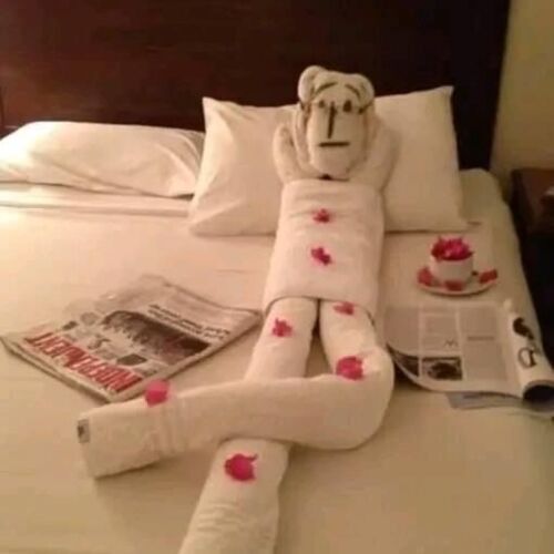 Avatar von Ferleinix