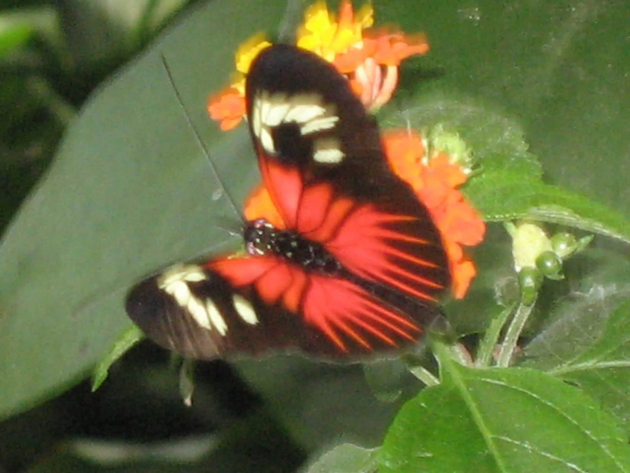 Avatar von Mapajust84