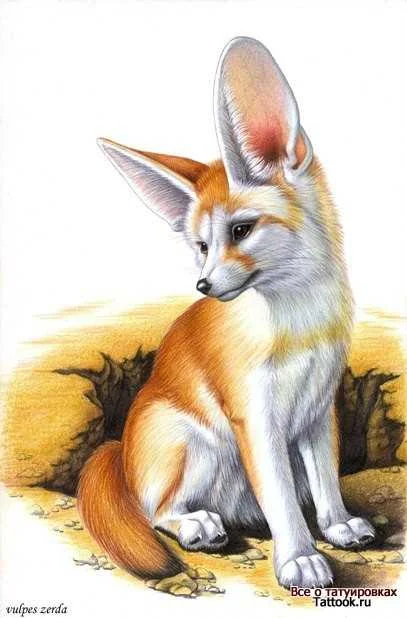 Avatar von faehe