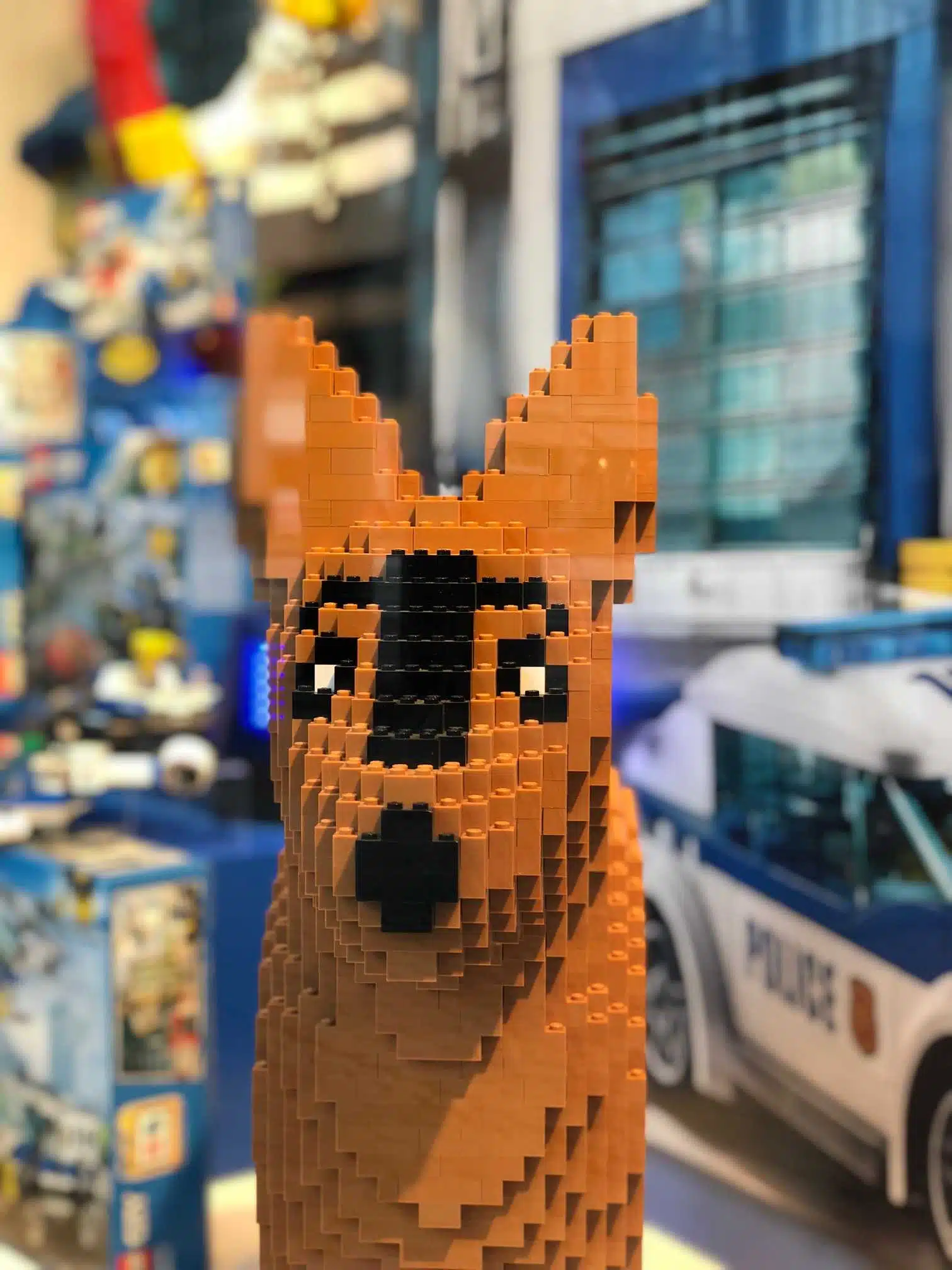 Avatar von Monteninho