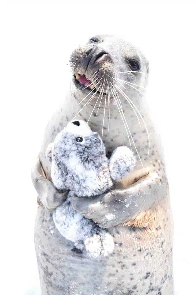 Avatar von Snuggles
