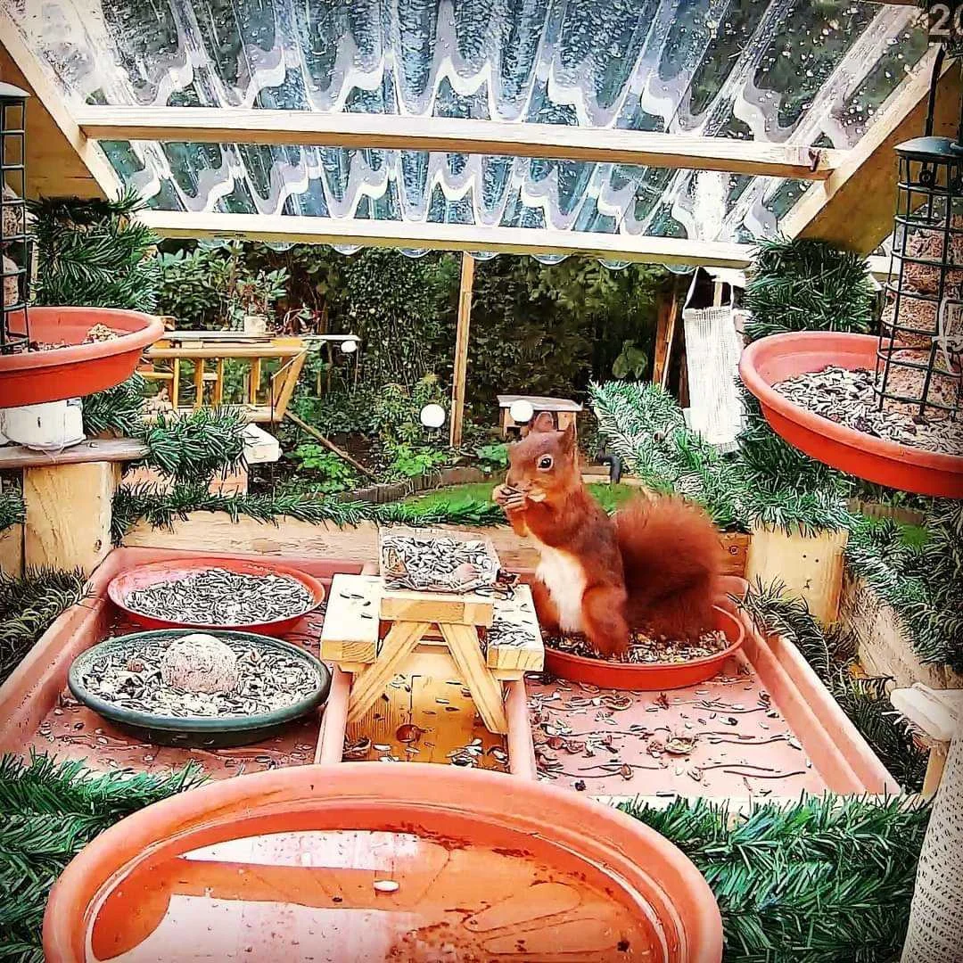 Avatar von Farris