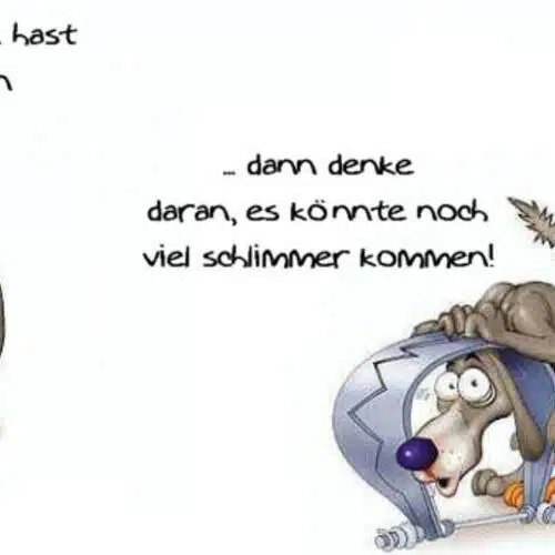 Avatar von a66