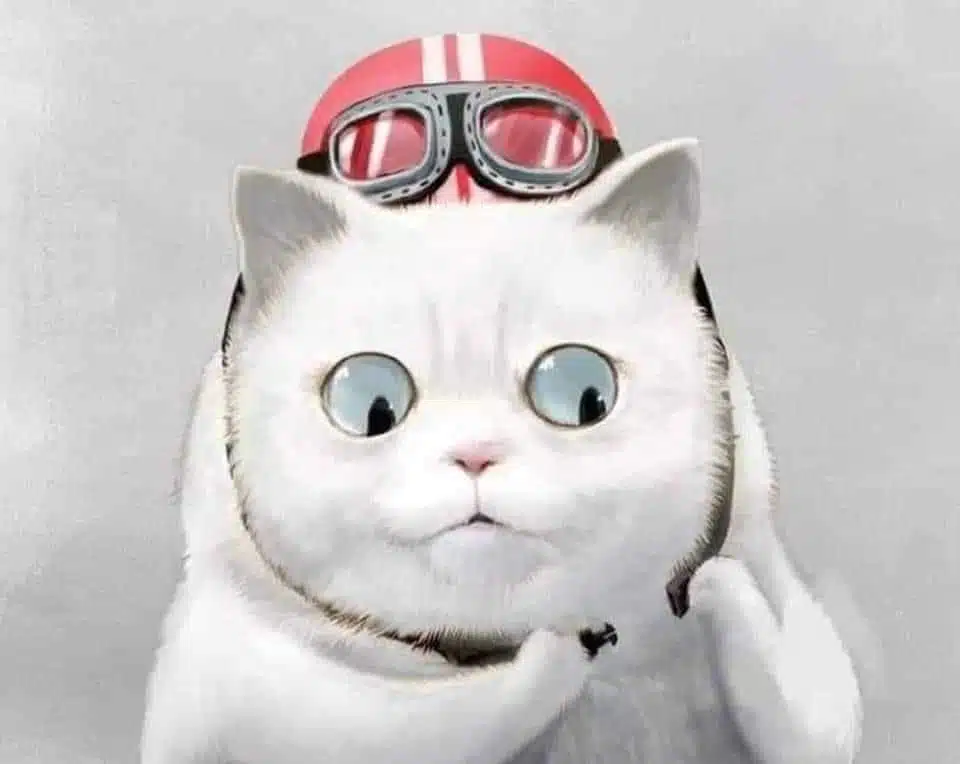 Avatar von AnWindy