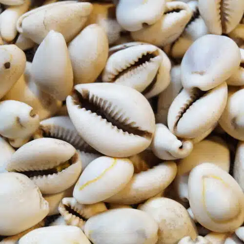 Avatar von user5001
