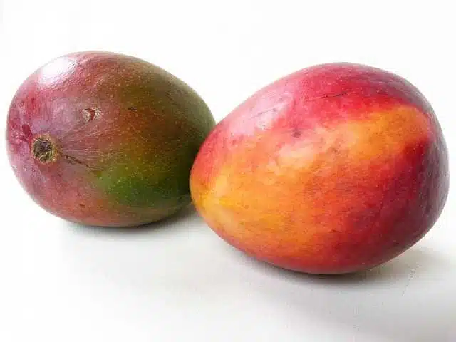 Avatar von mango2