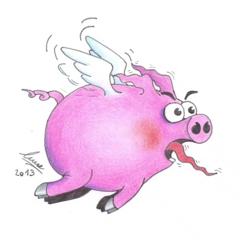 Avatar von russell