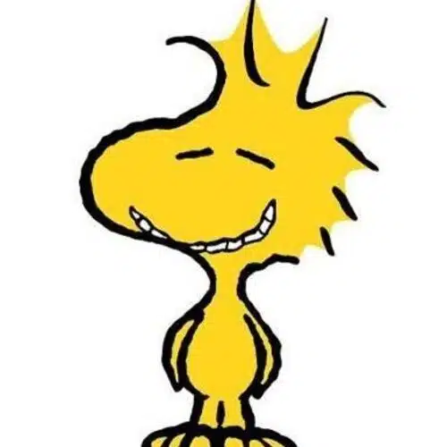 Avatar von 7Peppi7