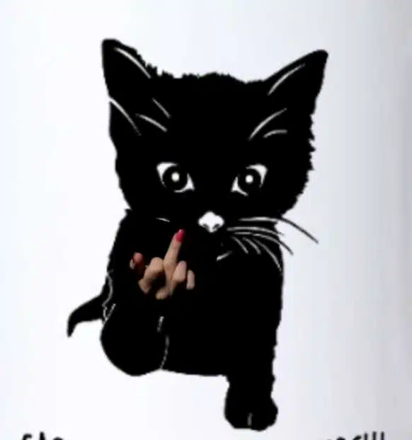Avatar von ShadowCat1607