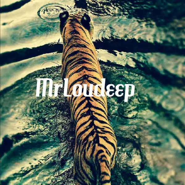 Avatar von MrLouDeep