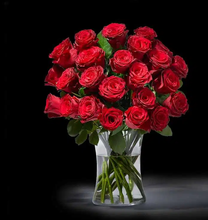 Avatar von Katrin-k