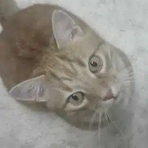 Avatar von cashqueen