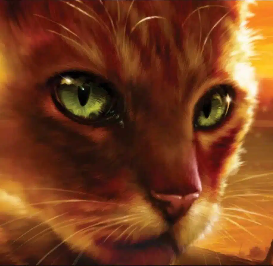 Avatar von Feuerstern
