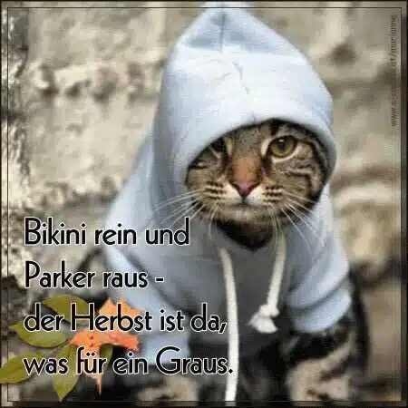 Avatar von Dvd1337