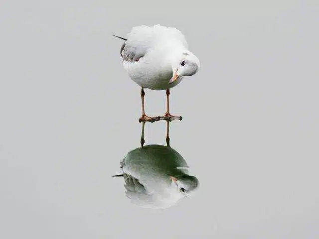 Avatar von Herbi28