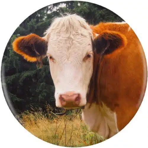 Avatar von Krausi29