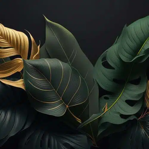 Avatar von Felix Rieger
