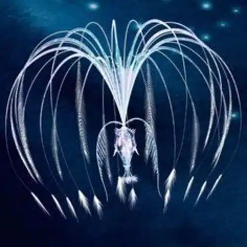 Avatar von Zagan